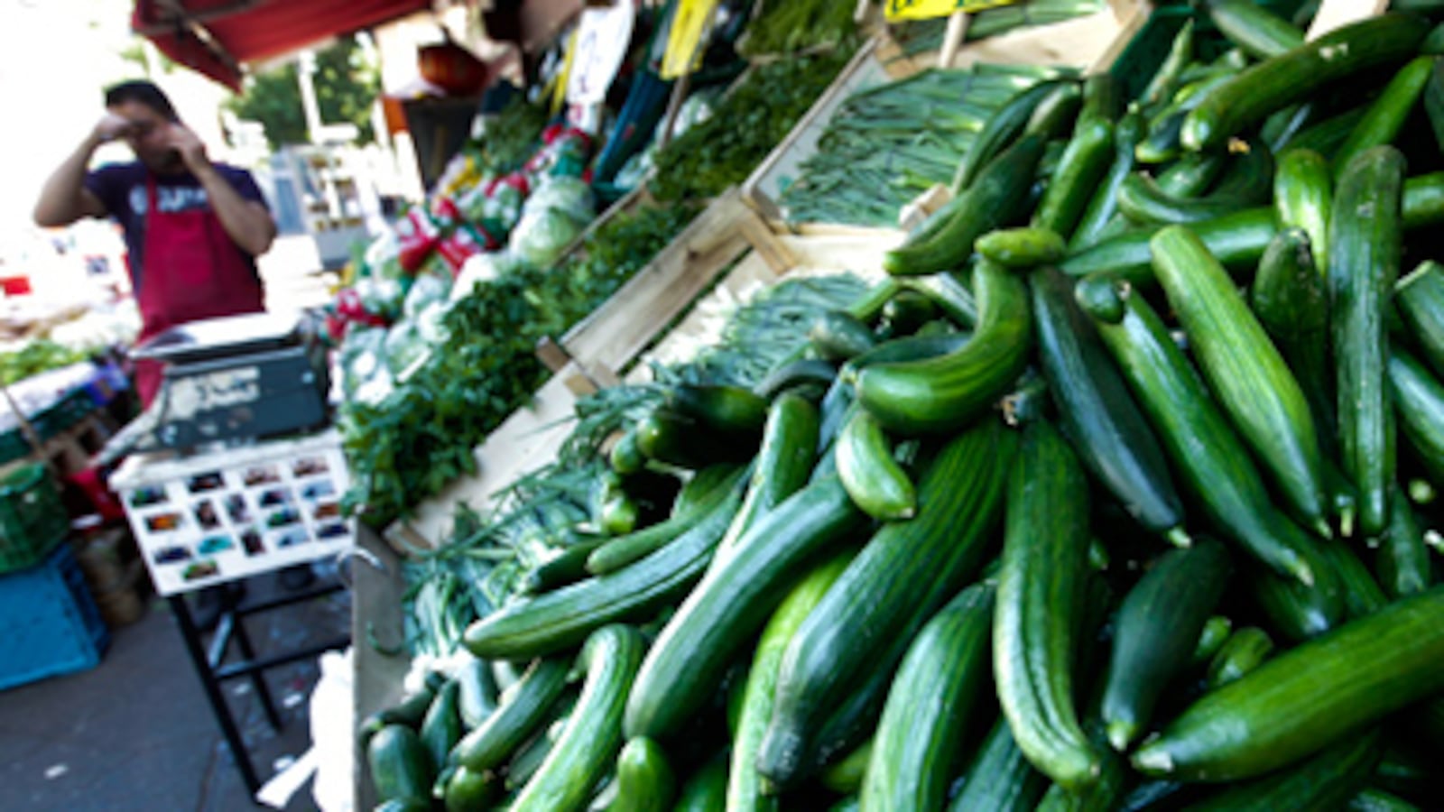 cheats/2011/05/30/fearing-e-coli-from-killer-cucumbers-imported-vegetables-banned-in-4-nations/cucumbers_qh1pcs