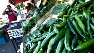 cheats/2011/05/30/fearing-e-coli-from-killer-cucumbers-imported-vegetables-banned-in-4-nations/cucumbers_qh1pcs