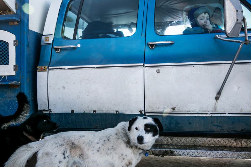 galleries/2014/03/06/gather-the-dogs-it-s-time-to-mush-iditarod-in-full-swing-photos/140306-iditarod-race5_okh9eo