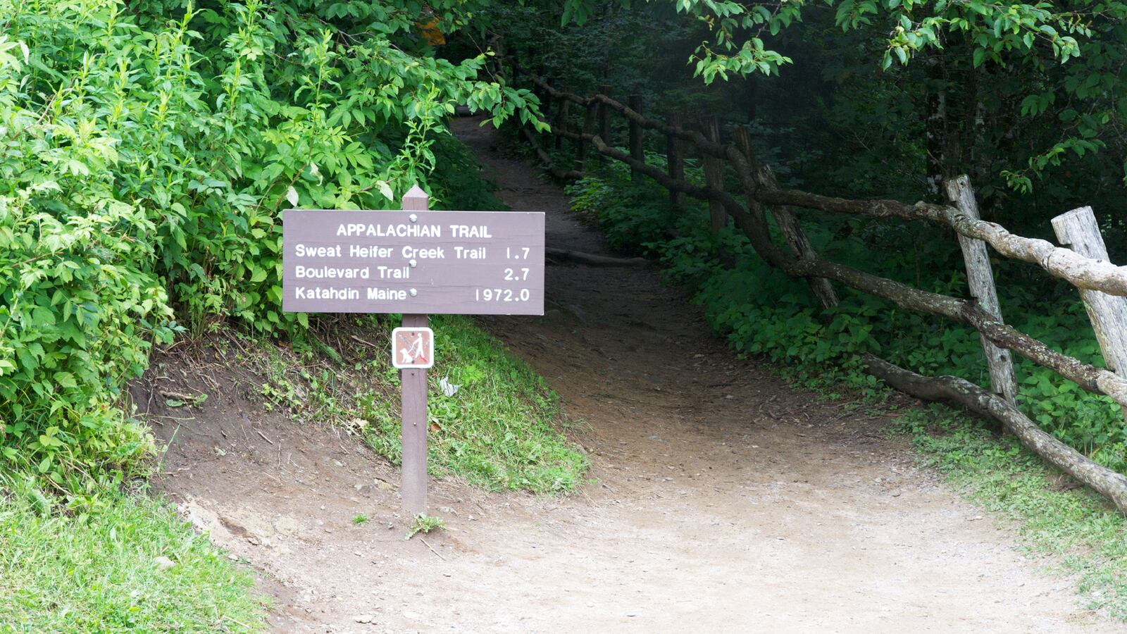 190513-Albert-Survivor-of-AT-attack-tease_n1sira