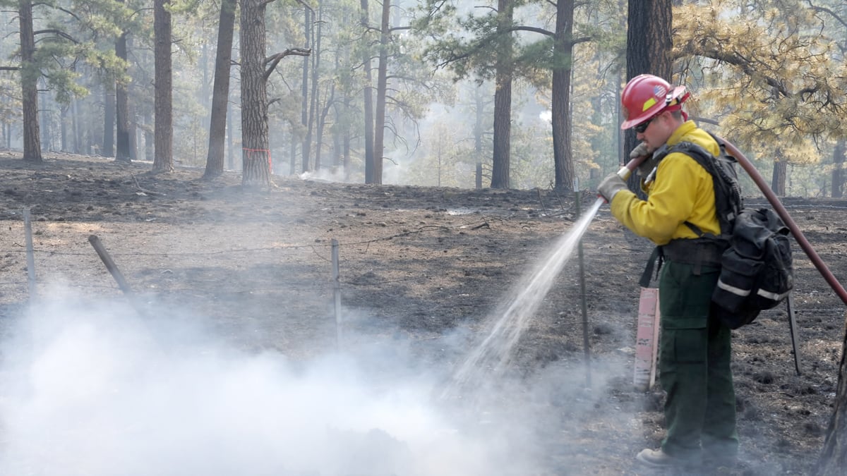 cheats/2011/06/12/arizona-fire-predicted-to-be-worst-ever/arizona-wildfire-cheat_oirh4r