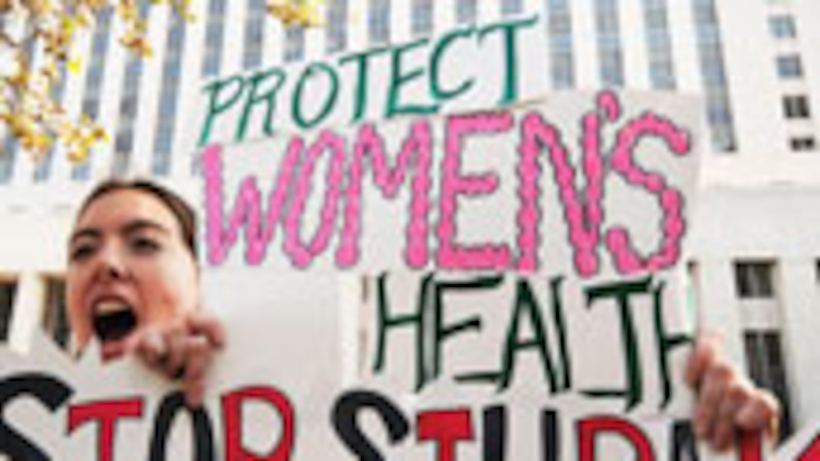 articles/2010/03/22/the-pro-choice-crowd-fights-back/goldstein-womens-groups-health-care_89850_odeerh