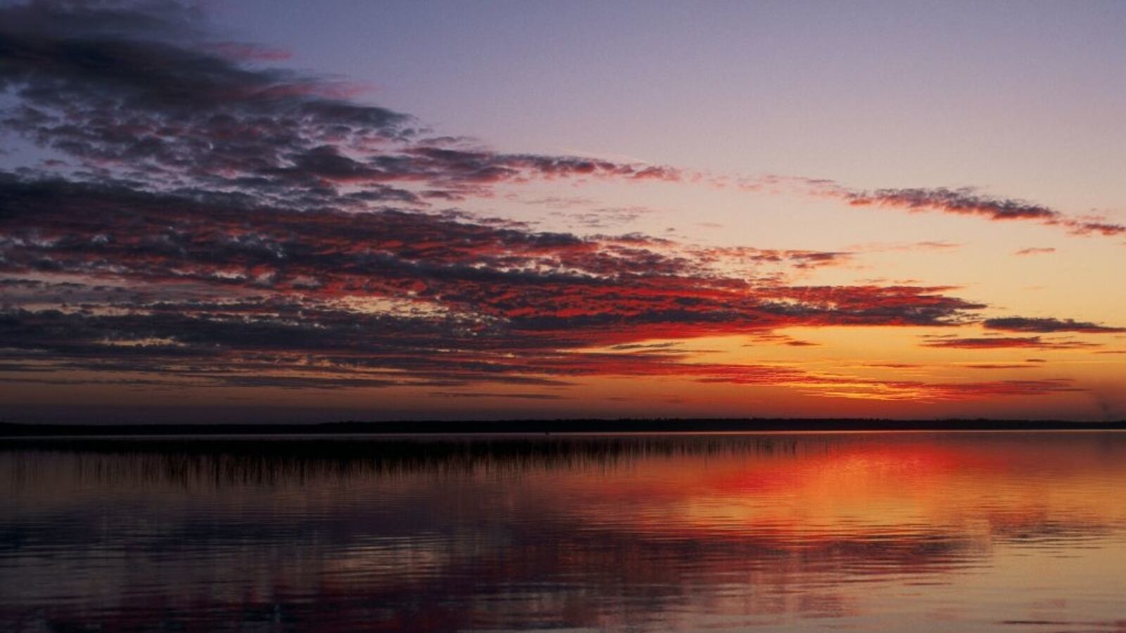 GettyImages-946198210_tix0oz