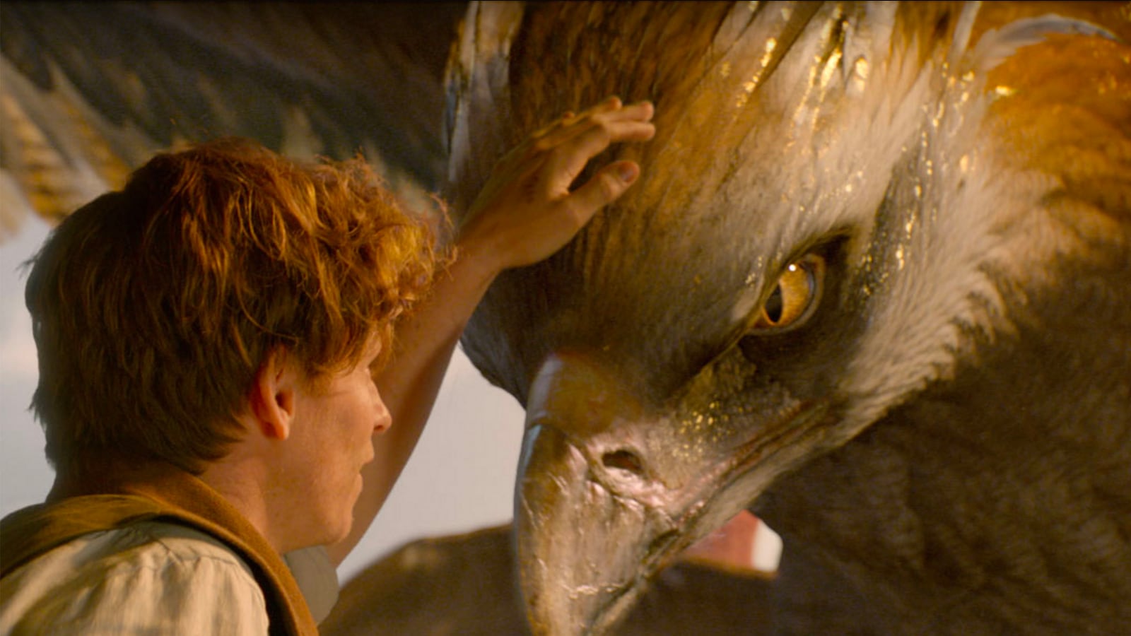 articles/2016/11/20/the-fantastic-beasts-shock-ending-what-it-means-for-the-future-of-the-potterverse/161118-leon-Fantastic-Beasts-tease_uc5fzx