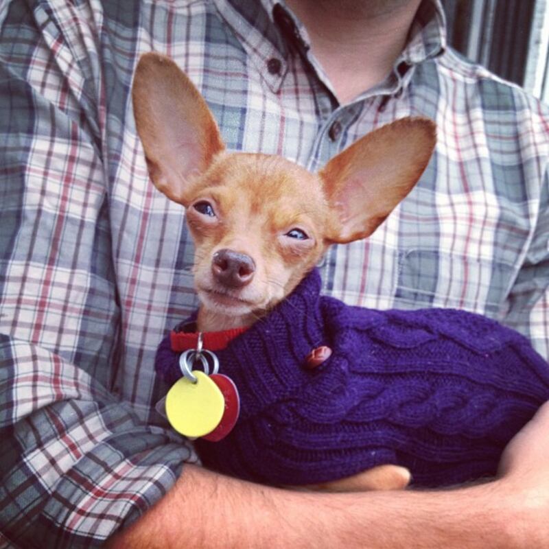 galleries/2012/11/24/rihanna-coco-rocha-more-best-fashion-instagrams-photos/seaofshoes_s9b14a