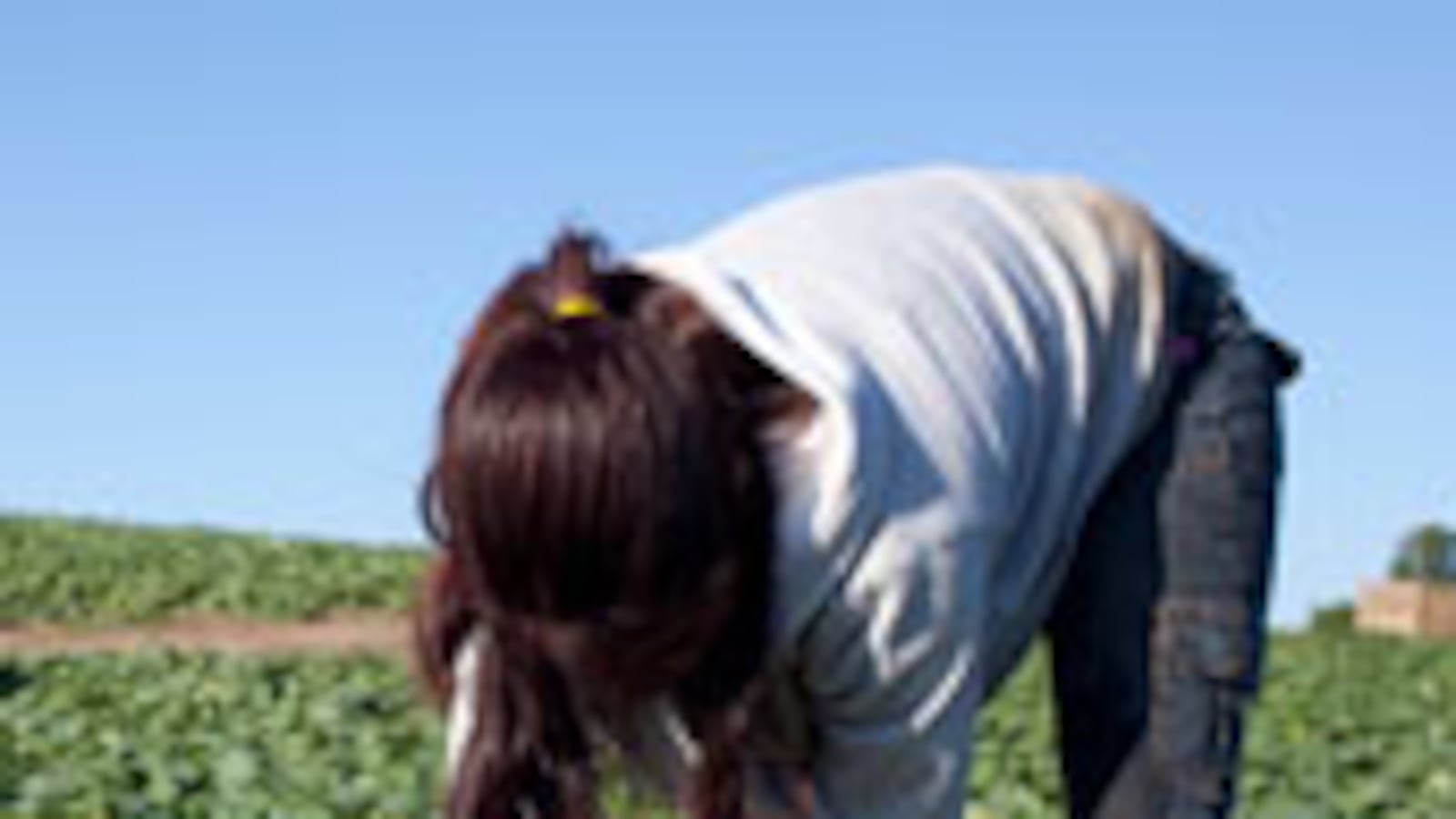 articles/2010/05/12/did-a-child-pick-your-strawberries/coursen-neff-child-farm-workers_99942_yre42d