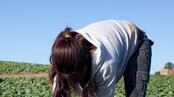 articles/2010/05/12/did-a-child-pick-your-strawberries/coursen-neff-child-farm-workers_99942_yre42d