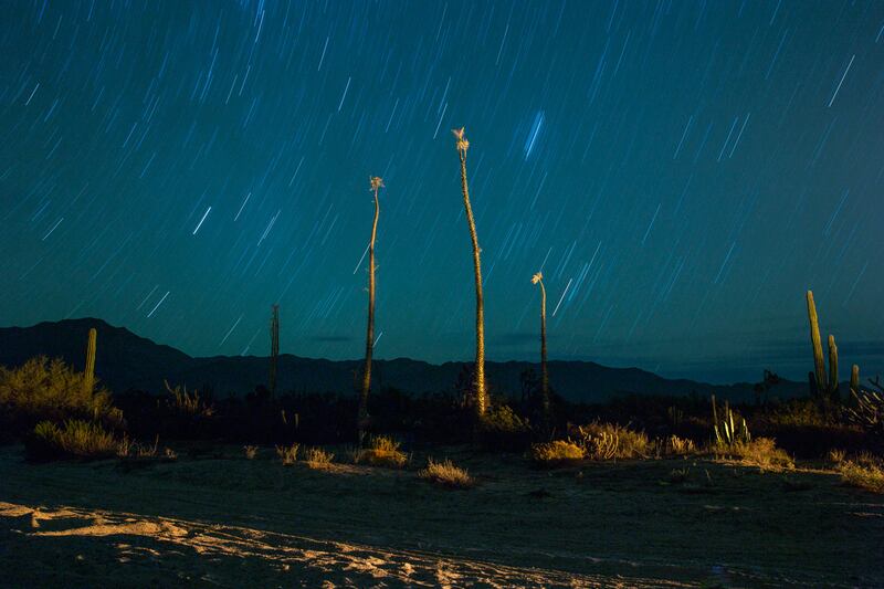 articles/2016/02/22/retracing-the-notorious-baja-1000/retracing-the-notorious-baja-1000-body-inlineimage_1_ekdl40