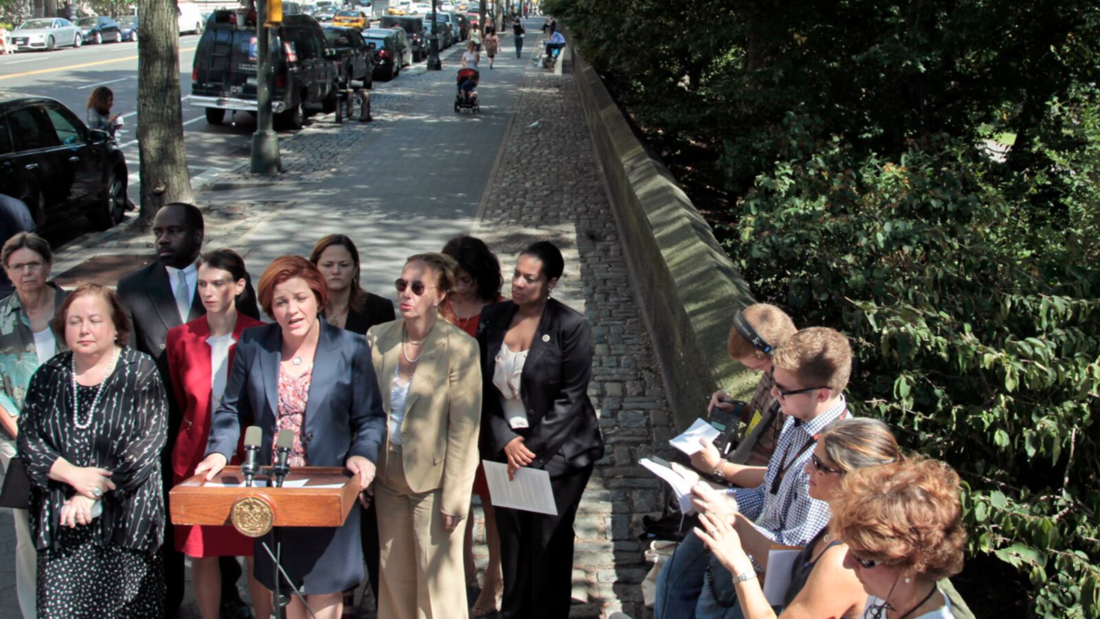 cheats/2012/09/14/suspect-charged-in-central-park-rape/central-park-rape-suspect-cheat_dgve6k