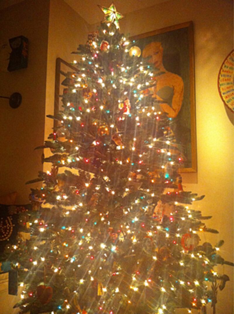 galleries/2010/12/16/celebrity-twitter-photos/twitpi1216---fallon_qyvlmn