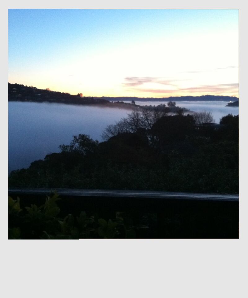 galleries/2013/06/26/julie-wainwright-ceo-of-the-real-real-shares-her-favorite-things-photos/polaroid-photo3_ys4ggm