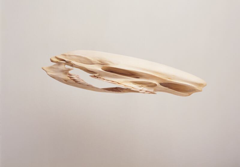 galleries/2009/08/13/bea-arthur-nude-and-other-freudian-fantasies/figure-freud---lazzarini_wuudoi