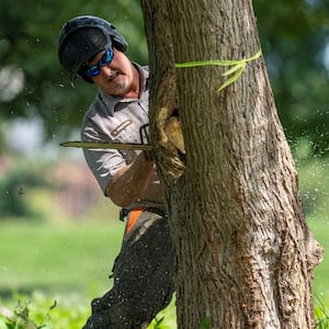 A National Park Service employee cuts down a tree ahead of possible additional renovations at East Potomac Golf Course in Washington, D.C. on August 29, 2026.