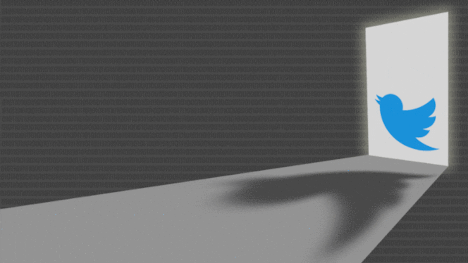 171114-collins-ackerman-umpire43-hero-1_zesknh