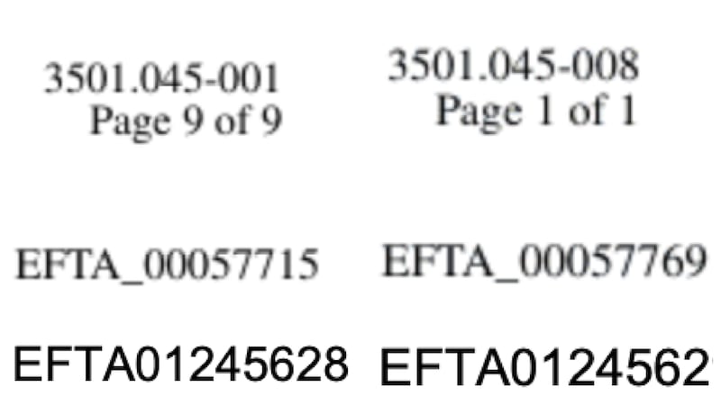 NPR discovered that serial numbers—the top numbers above—for files released by the Department of Justice began skipping documents in a segment that pertained to a woman who accused President Donald Trump of sexually abusing her when she was a minor.