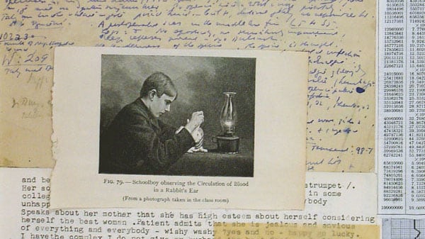 articles/2011/12/31/old-anxieties-get-a-new-life-artist-janet-malcolm-digs-up-ancient-case-files-from-a-mystery-psychiatrist/janet-malcolm-schwartz-tease_y6820f