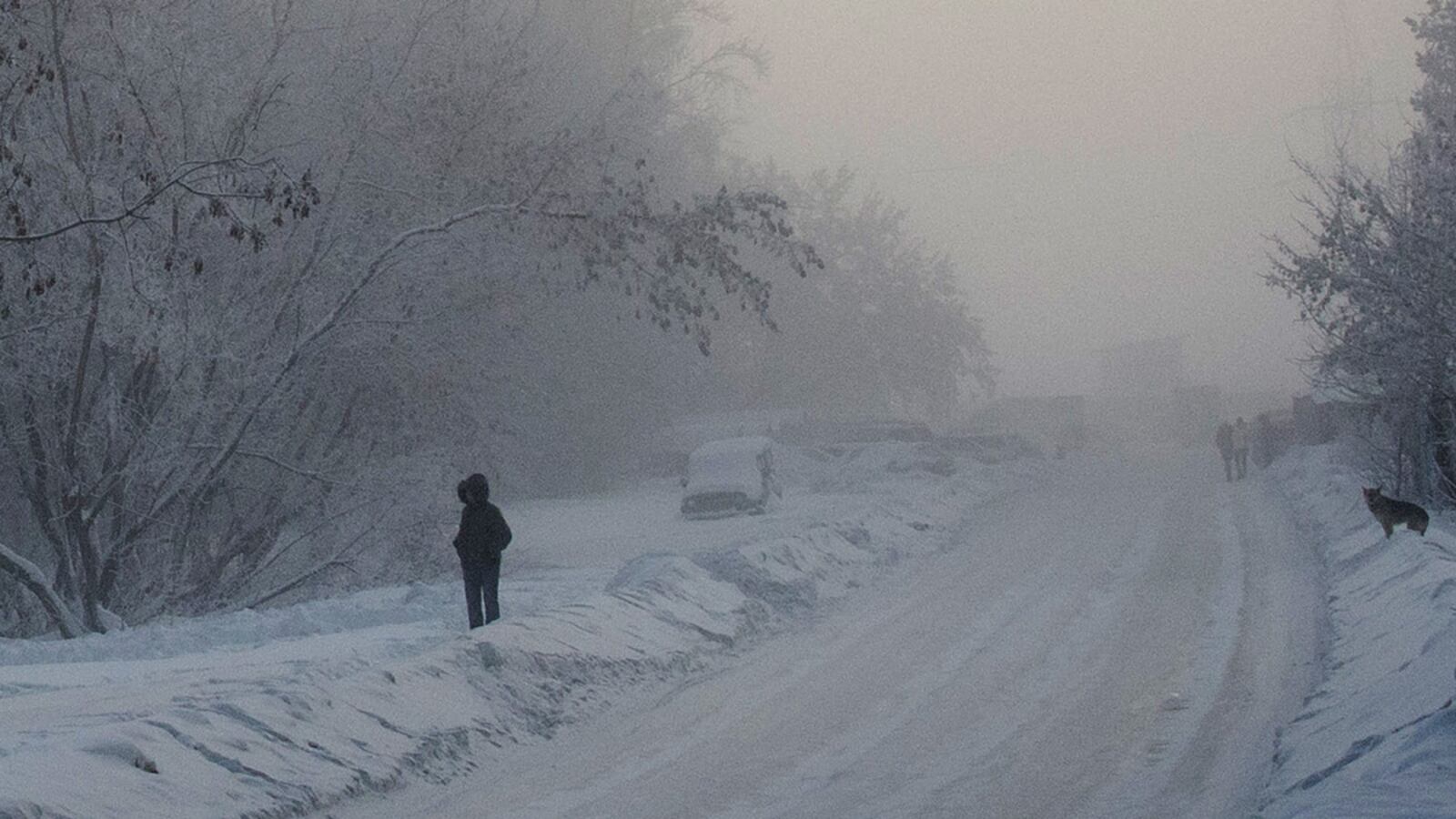 cheats/2016/09/23/toddler-survives-3-days-in-wilderness/160923-siberia-forest-toddler-cheat_bkxizo