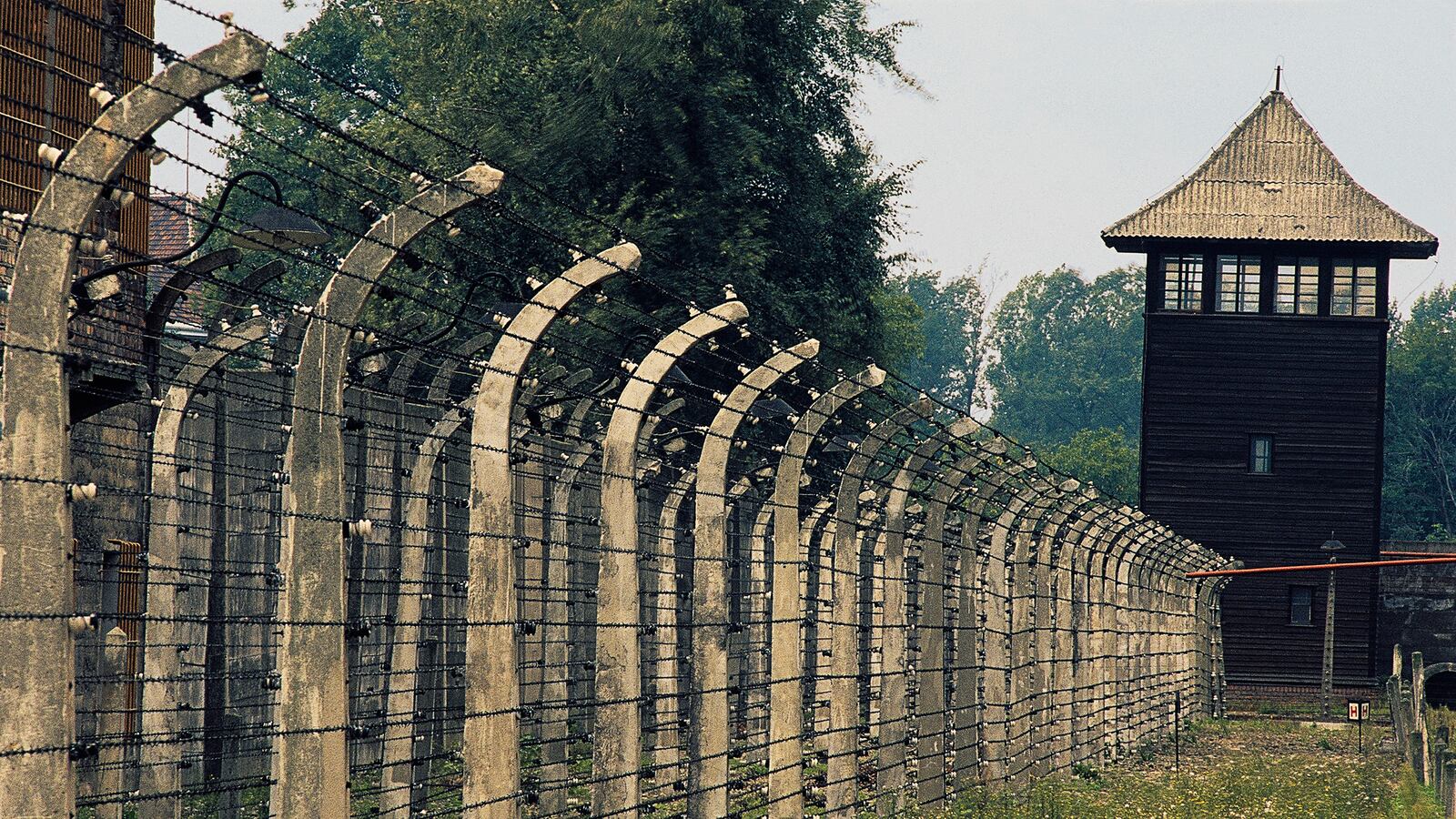 articles/2015/06/23/british-schoolboys-caught-pilfering-artifacts-from-auschwitz/150623-Hines-stolen-holocaust-artifacts-tease_kjjazf