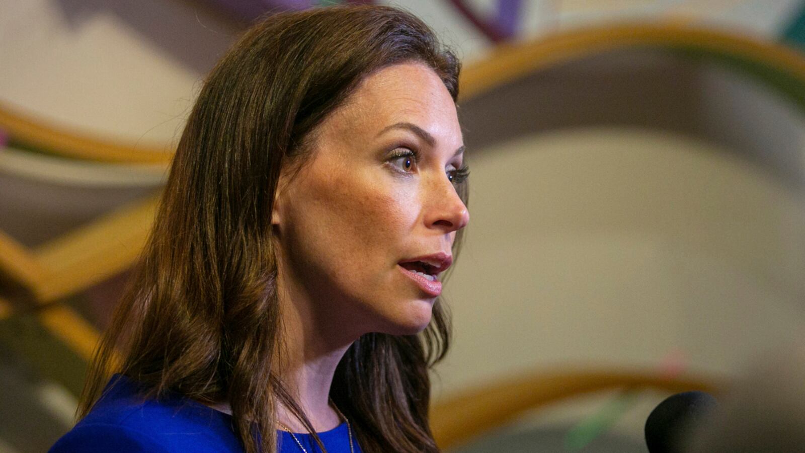 220729-tudor-dixon-hero_irjig7