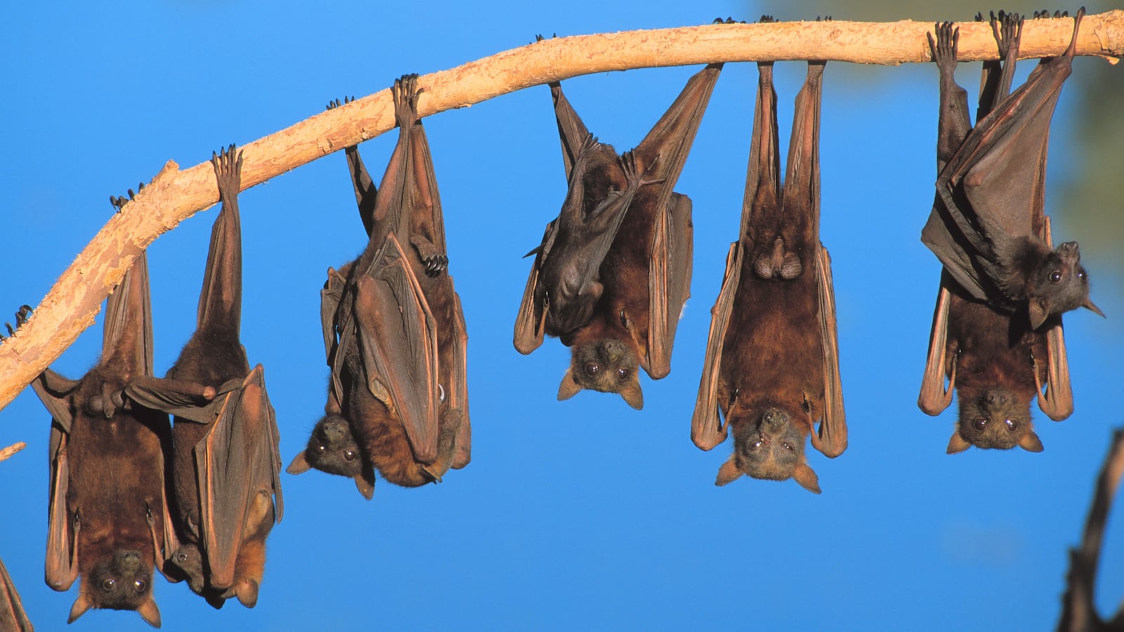 GettyImages-532471174_krbaov