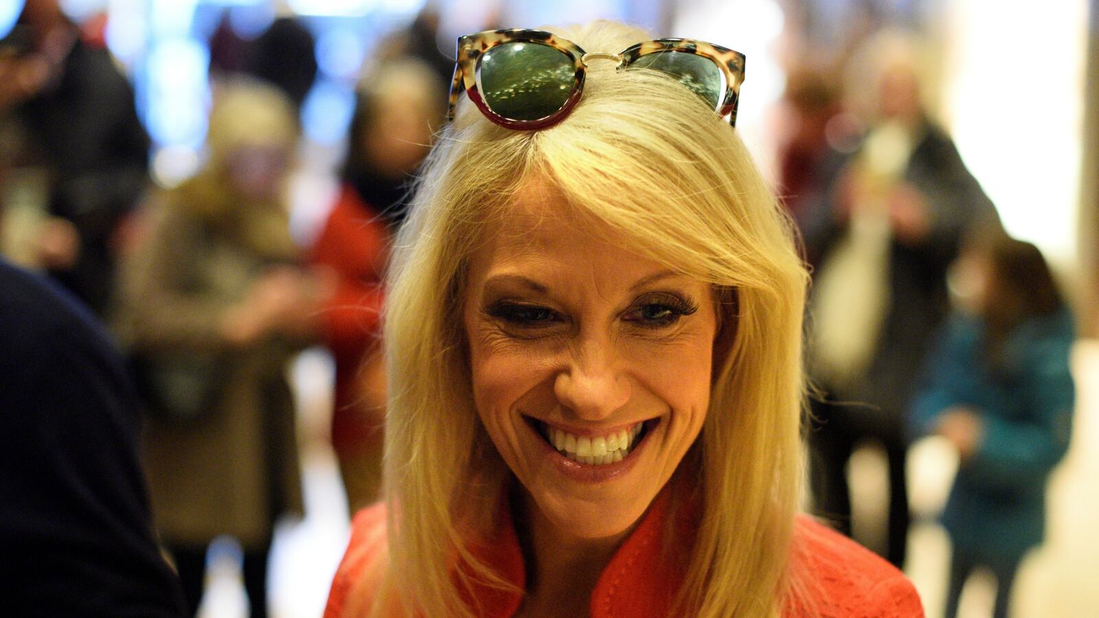 cheats/2016/12/15/conway-disses-media-over-reports-of-russian-interference/161214-kellyanne-conway-russia-leaks-cheat_giqxo6