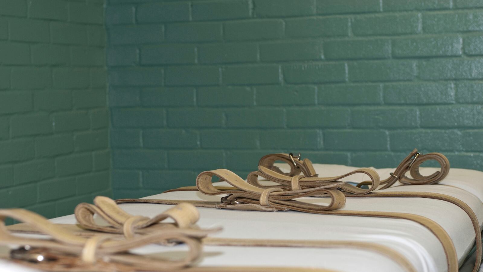 cheats/2016/10/03/ohio-will-begin-executions-again/150813-CT_death-penalty-cheat_d8ewuf