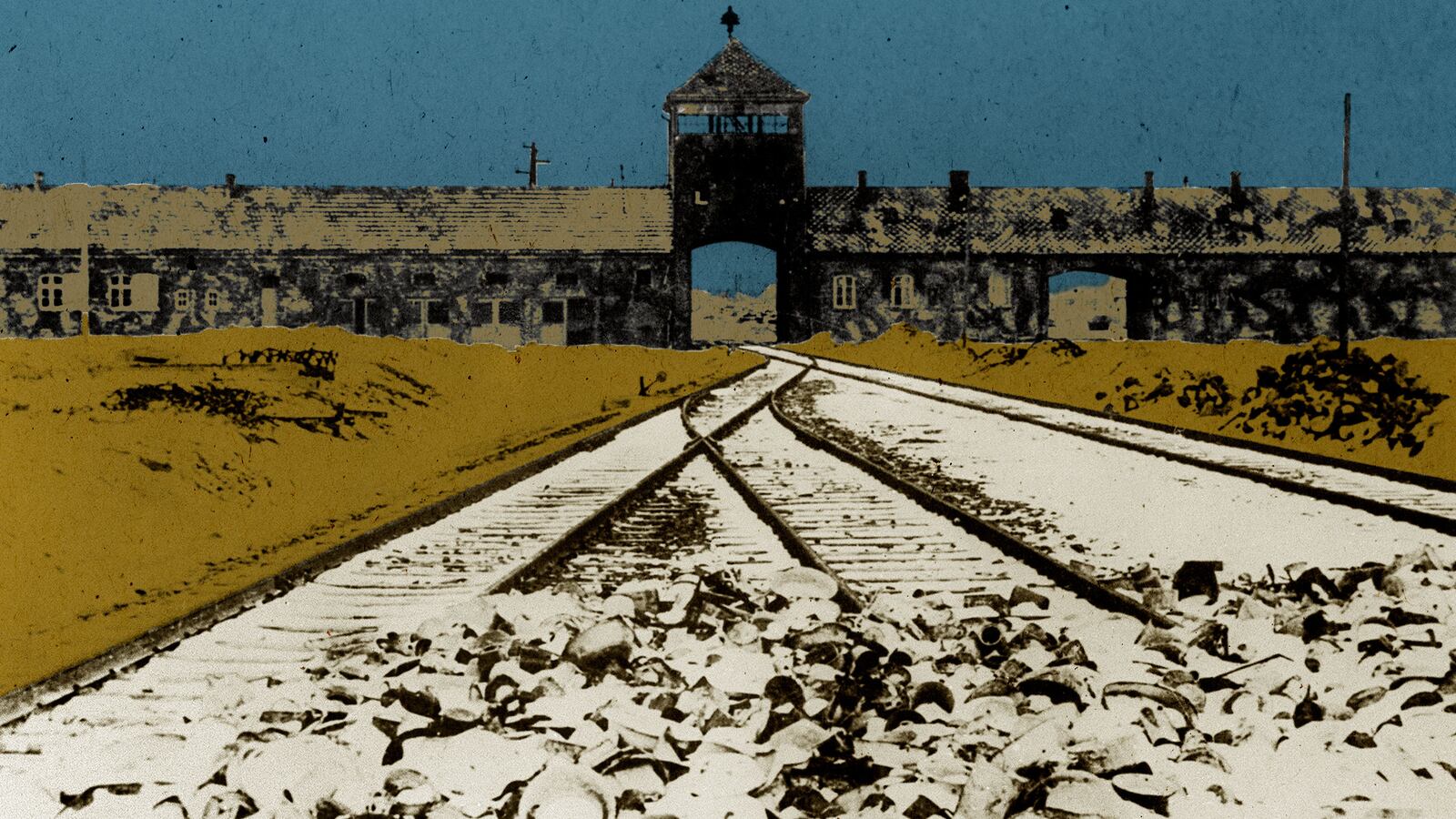 190310-schwartz-auschwitz-hero_m3c21t