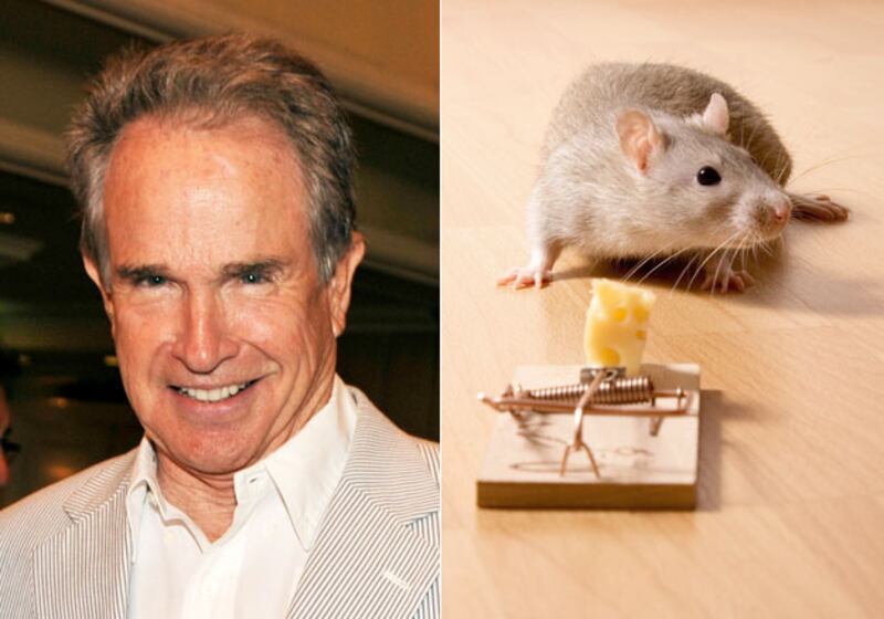 galleries/2010/05/28/celebs-first-jobs/celefirst-jobs---2_ue40zh