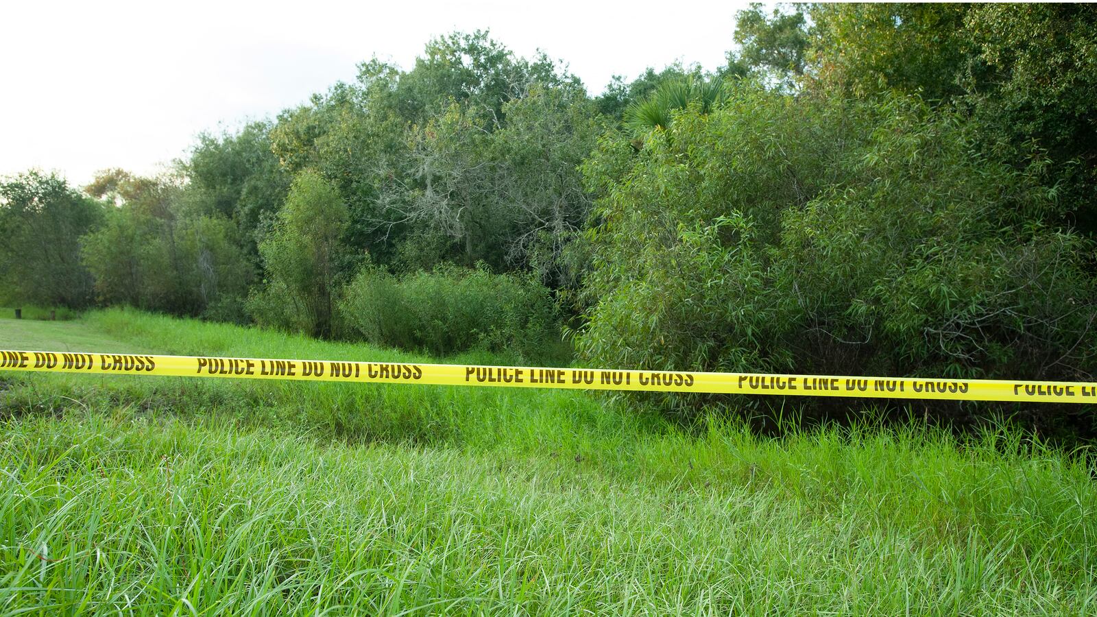 GettyImages-1236012638_rhtxlu