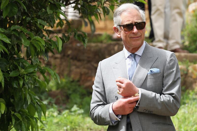 articles/2013/06/06/charles-announces-coronation-wildflower-meadows-initiative/prince-charles_l25lov