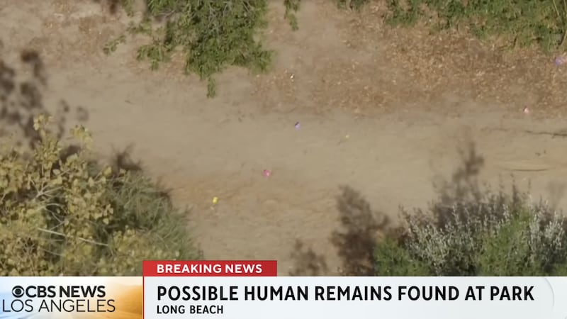 CBS News human skull