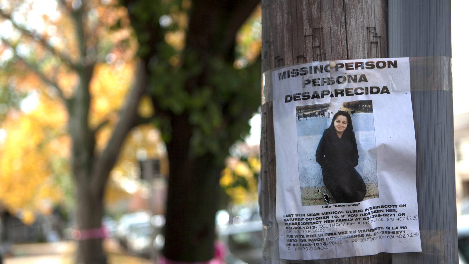 articles/2015/11/05/a-hamptons-mom-vanishes-and-no-one-says-a-word/151030-briqulet-missing-woman-embed2_vgg1dn
