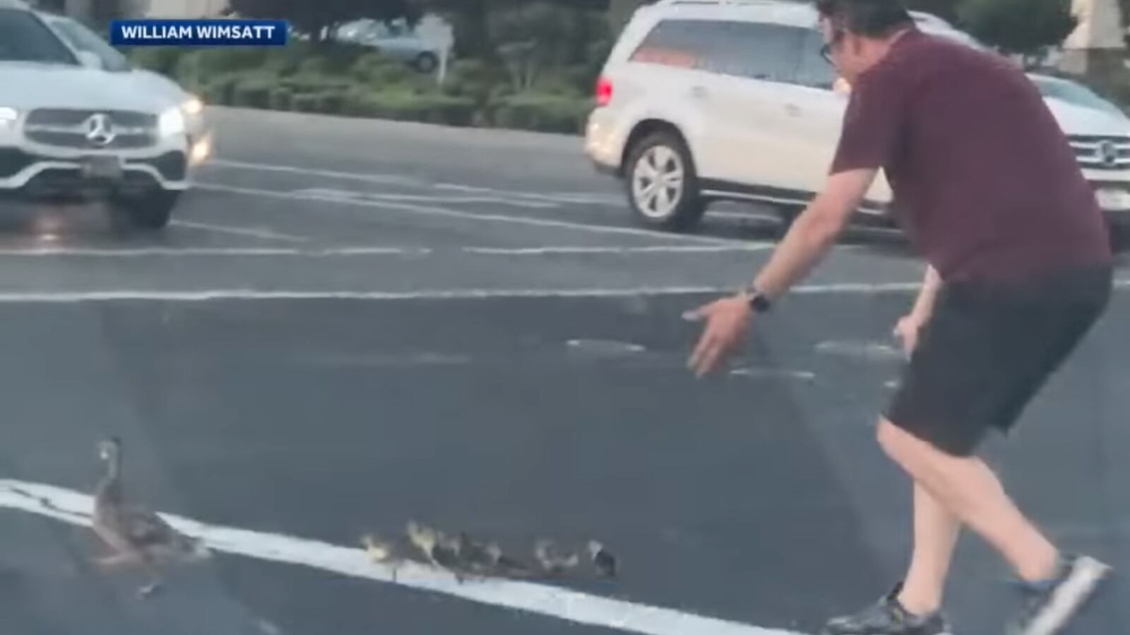 Screenshot_2023-05-20_at_11.40.41_PM_jtpd6a