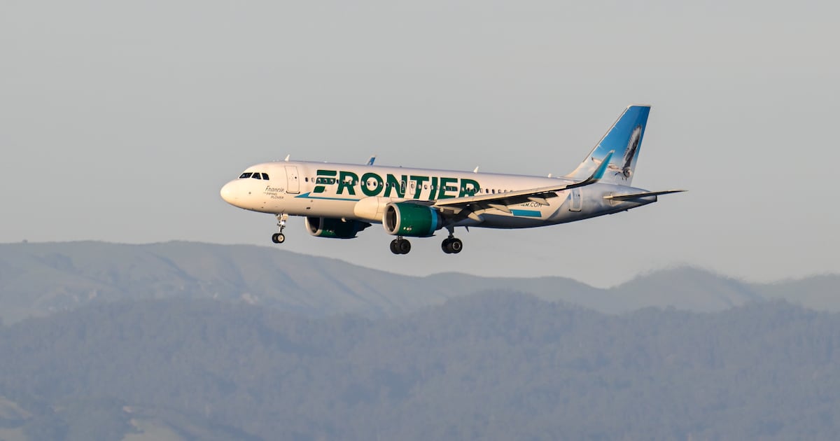 Terrifying Footage Shows Frontier Passengers Flee After Jet Strikes Person on Runway