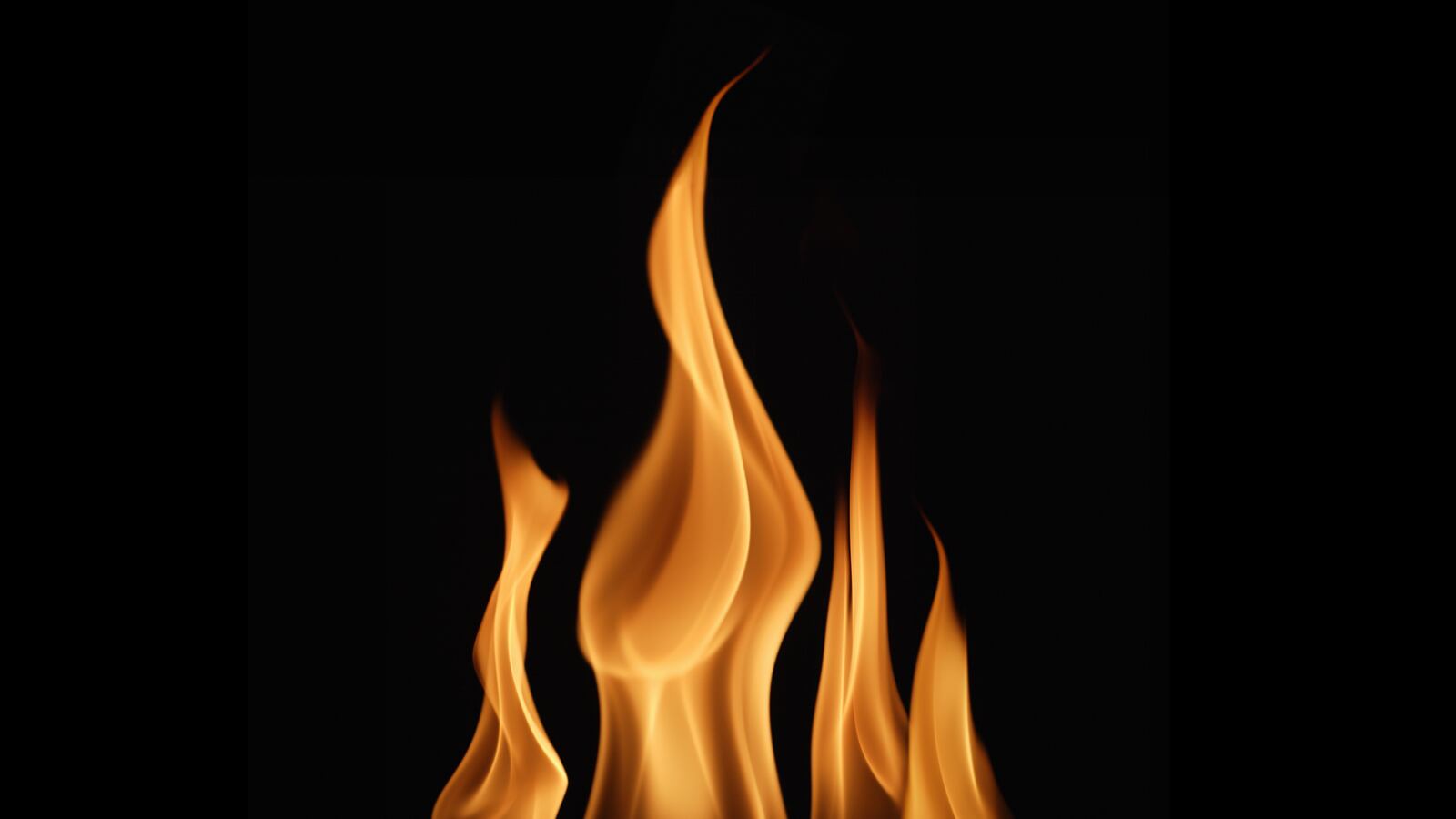 cheats/2013/08/22/indian-baby-spontaneously-combusts/130822-india-combustible-baby-cheat_sqr8fs