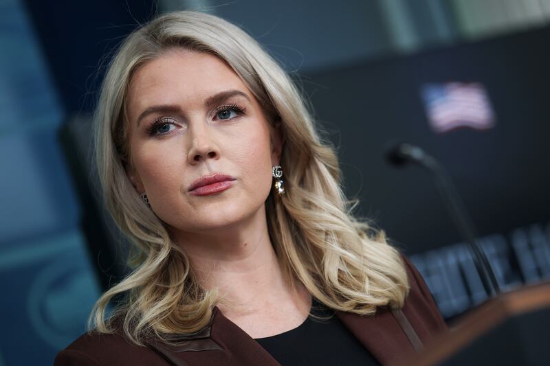 White House Press Secretary Karoline Leavitt speaks during the daily press briefing