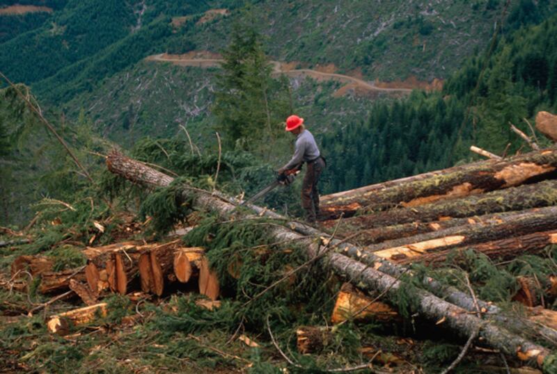 galleries/2011/04/12/deadliest-jobs/deadliest-jologgers_iqtqq8