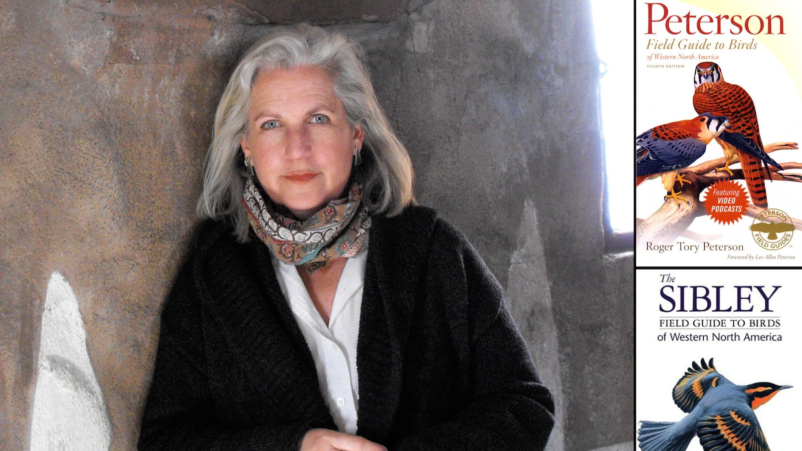 articles/2013/03/27/book-bag-terry-tempest-williams-birding-bibles/130326-terry-tempest-williams-birds-tease_nhwbld