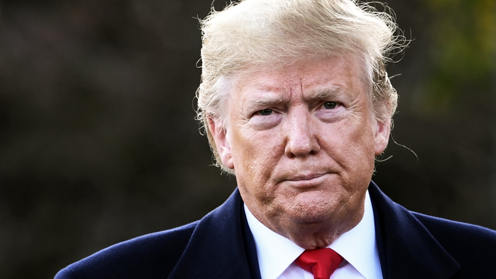 191105-Michaelson-Trump-Paris-tease_wtqzl1