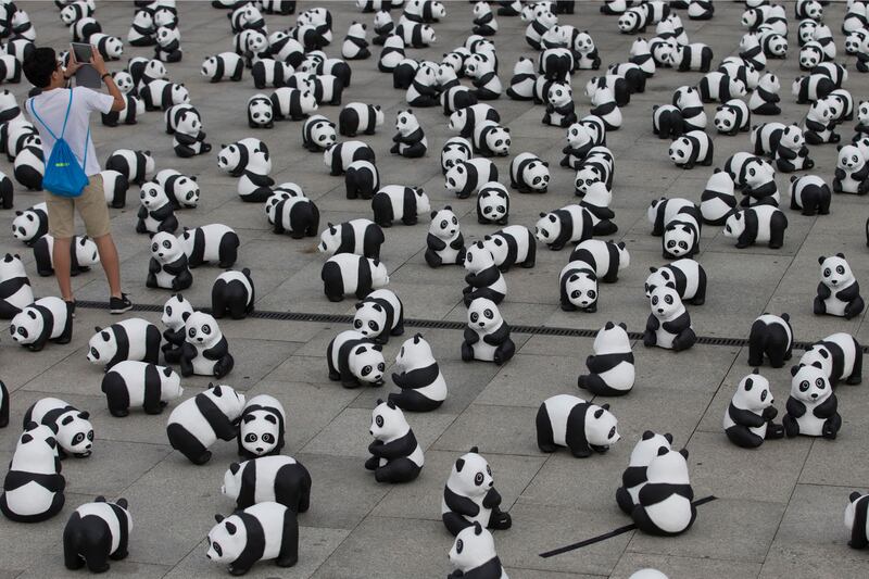 galleries/2013/08/09/week-in-photos-august-9-photos/130809-wip-wildlife-fund-panda_tcsgwm