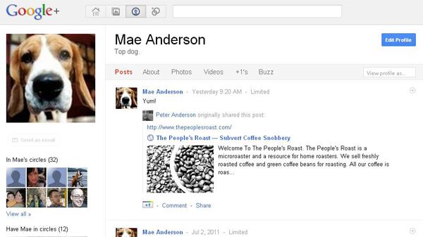 cheats/2011/07/12/google-could-hit-10-million-users/google-plus-cheat_tgyipr