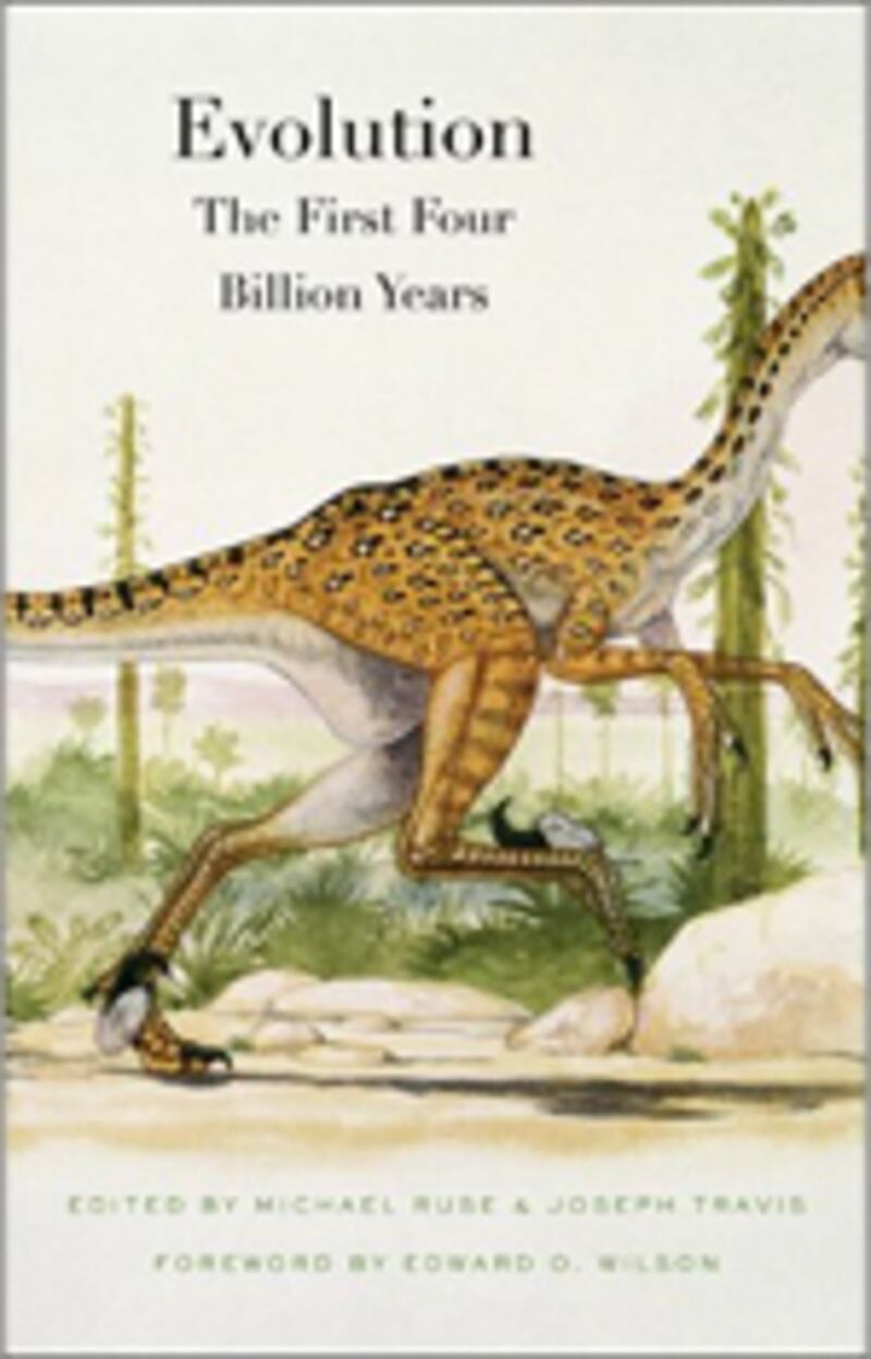 articles/2009/12/02/the-best-of-brit-lit-22/brit-lit-1202---evolution_jmtmhi