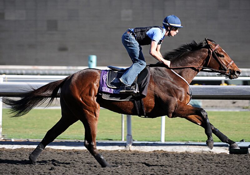 galleries/2011/05/05/top-racehorses/top-racehorses---mine-that-bird_rjbhwc