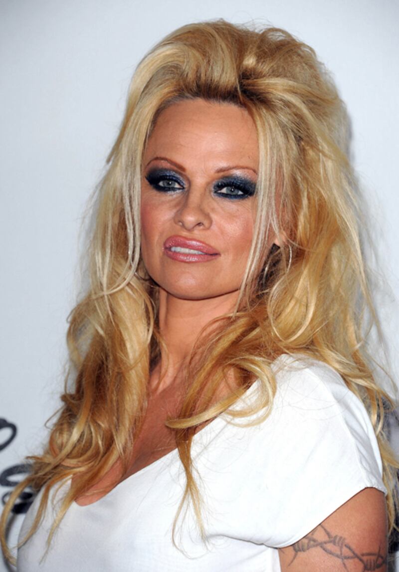 galleries/2012/08/02/pamela-anderson-jeff-holm-more-celebs-who-wear-there-s-something-about-mary-hair-photos/mary-hair-1_wicg1q