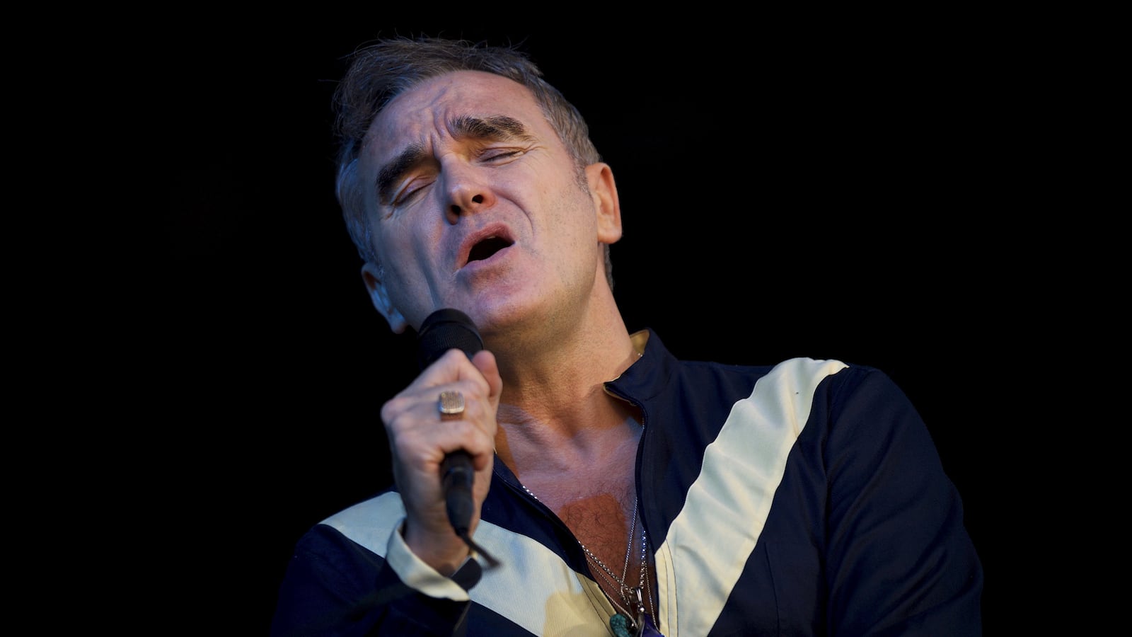 Morrissey performs at the Firefly Music Festival in Dover, Delaware, June 19, 2015.