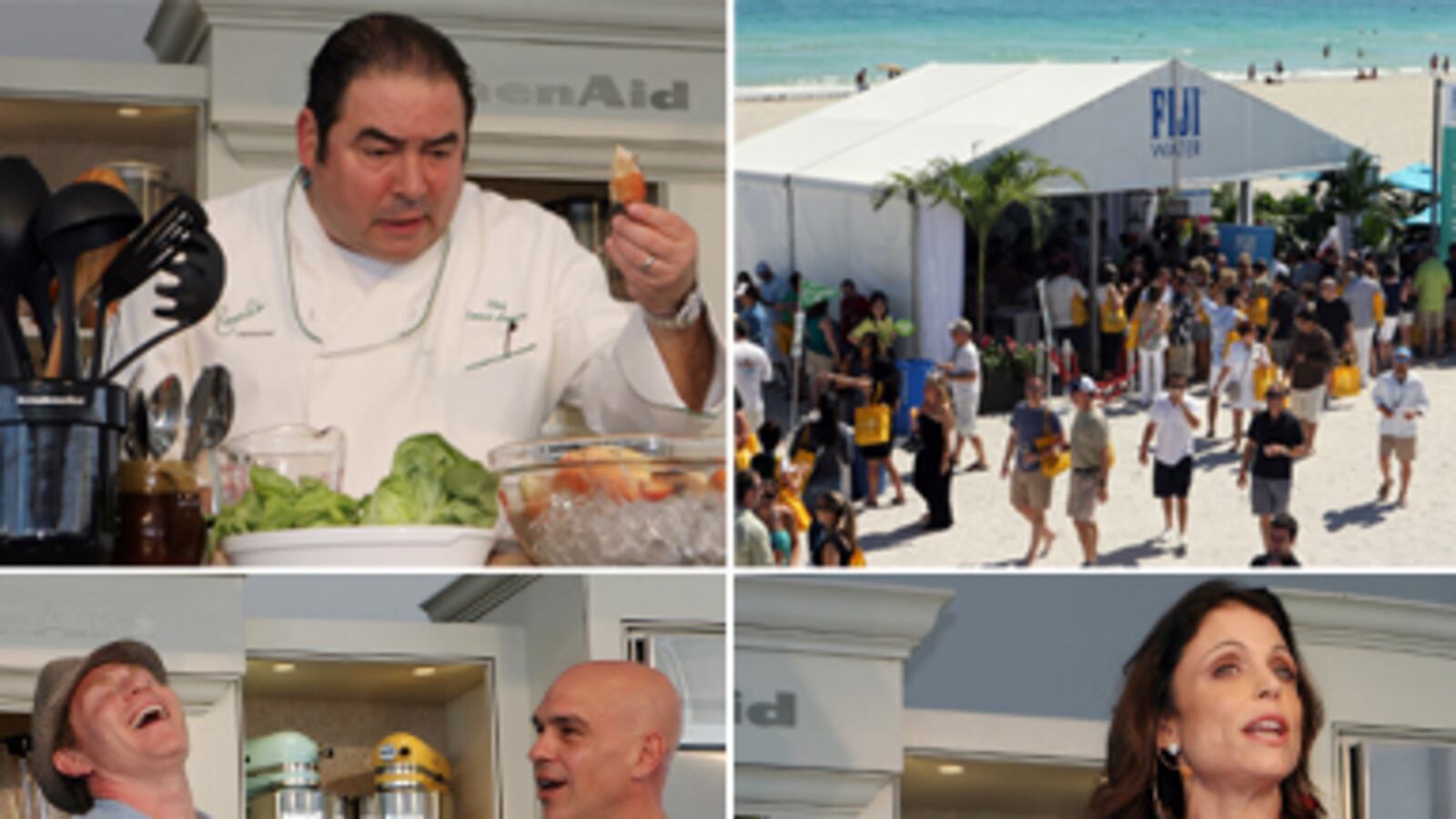 articles/2011/03/01/south-beach-food-and-wine-festival-review/ross-south-beach_163203_boqjpw