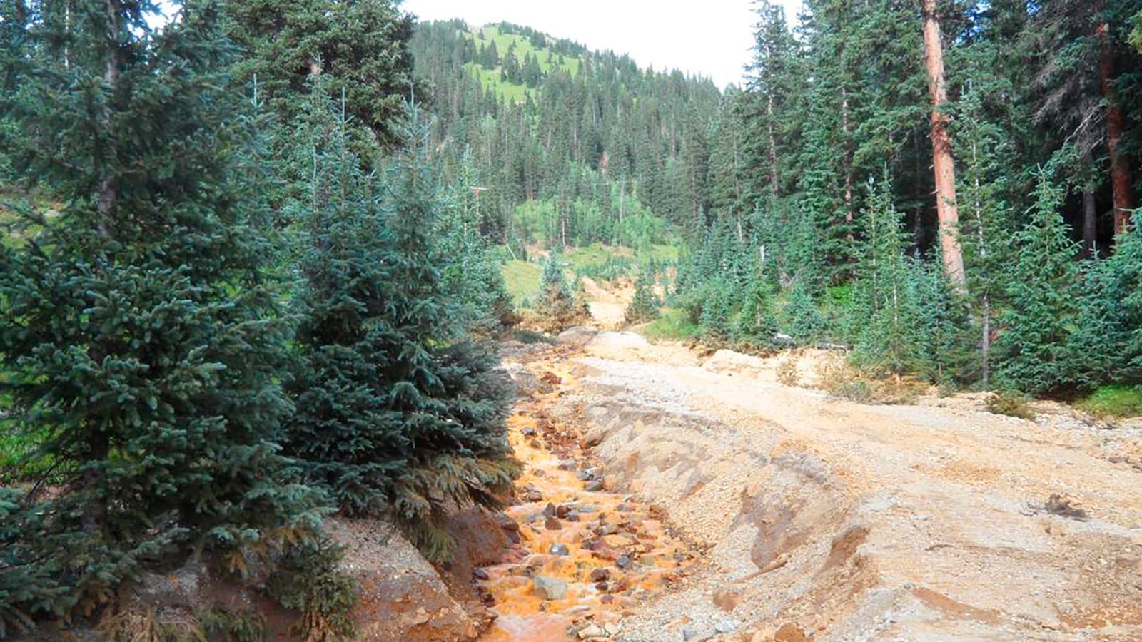 cheats/2015/08/10/toxic-spill-turns-colorado-river-orange/150810-epa-spill-cheat_i8yb5c