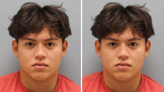 Screen_Shot_2021-05-19_at_2.21.37_PM_x2poms