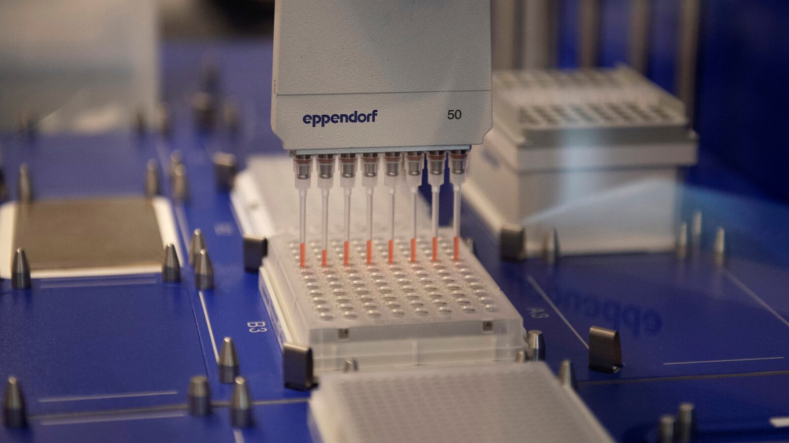 2020-06-04T000000Z_350564069_RC2C2H9IIEXZ_RTRMADP_3_HEALTH-CORONAVIRUS-HYDROXYCHLOROQUINE-TRIALS_tj8nop