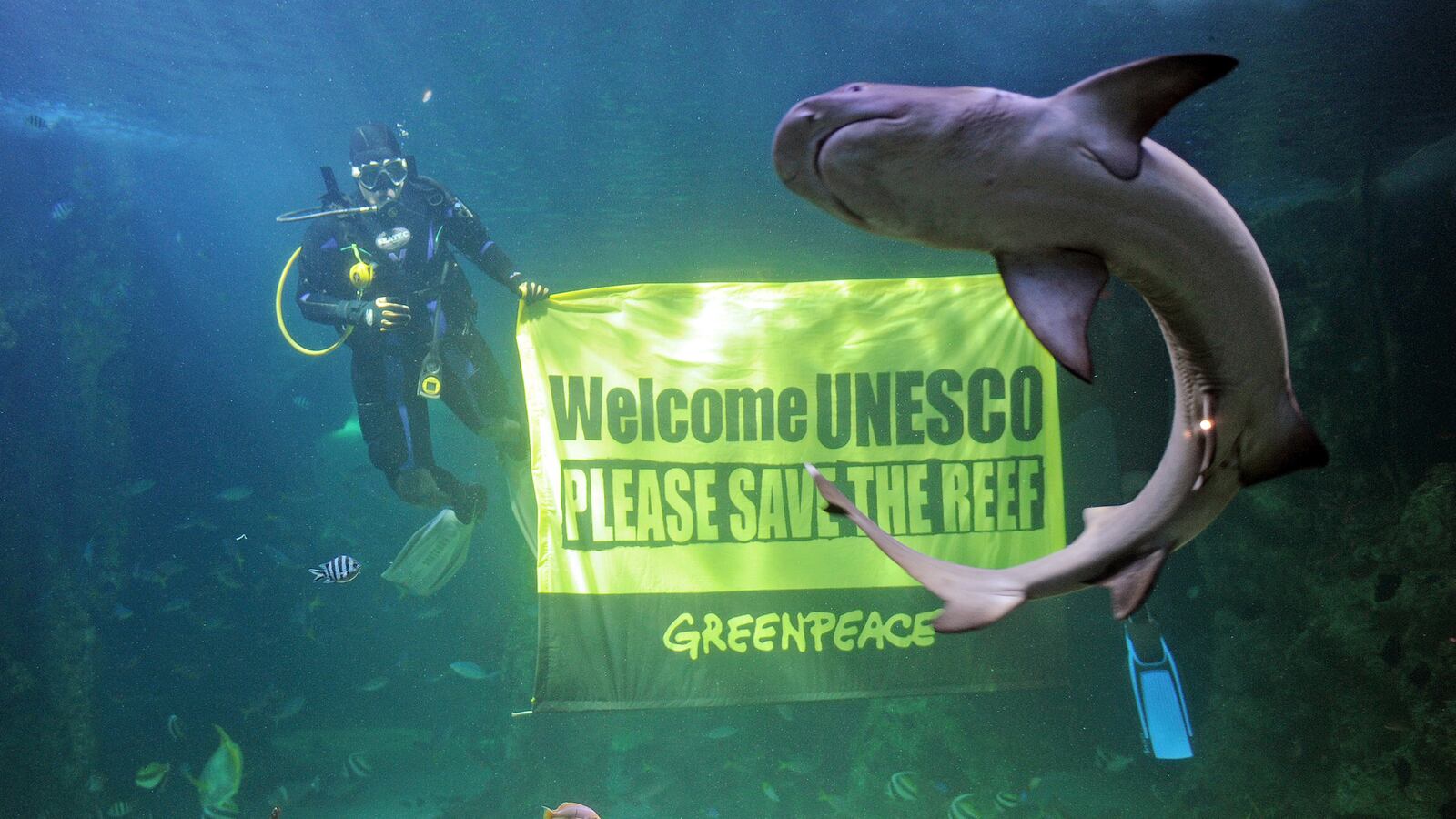 articles/2014/06/02/australia-wants-to-open-the-great-barrier-reef-to-toxic-dumping/140526-alexander-gb-reef-tease_o2bcj7
